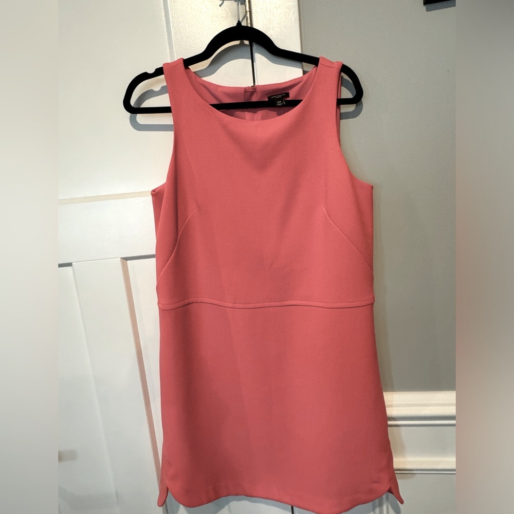 Ann Taylor- sleeveless shift dress